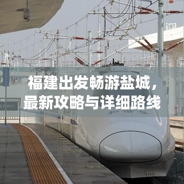 福建出发畅游盐城，最新攻略与详细路线指南