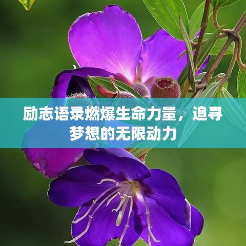 励志语录燃爆生命力量，追寻梦想的无限动力