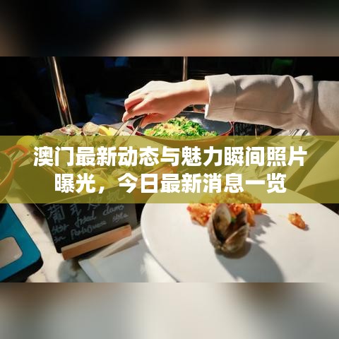 澳门最新动态与魅力瞬间照片曝光，今日最新消息一览