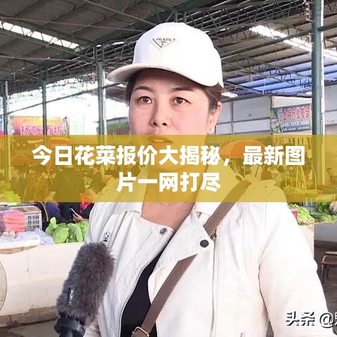 今日花菜报价大揭秘，最新图片一网打尽