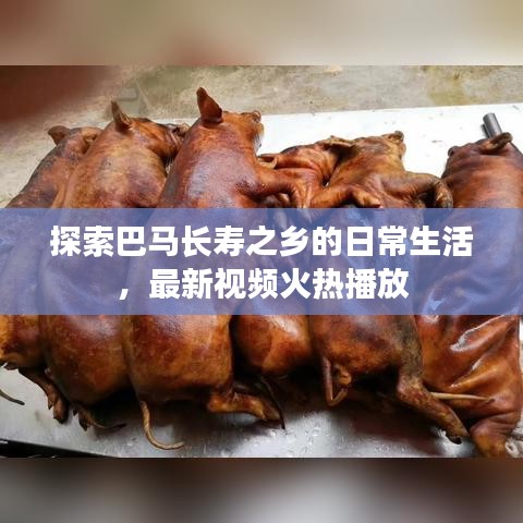 探索巴马长寿之乡的日常生活，最新视频火热播放