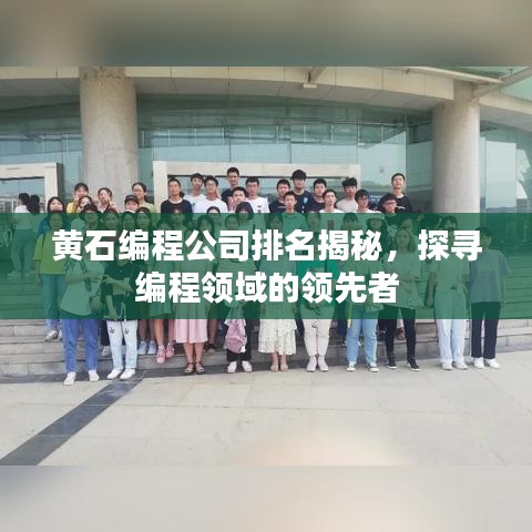 黄石编程公司排名揭秘，探寻编程领域的领先者