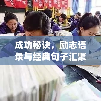 成功秘诀，励志语录与经典句子汇聚