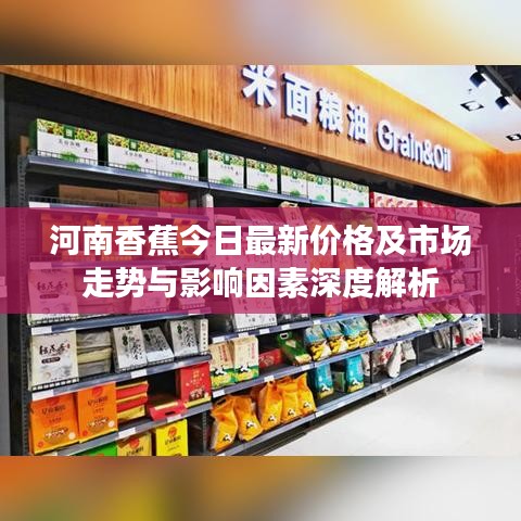 河南香蕉今日最新价格及市场走势与影响因素深度解析