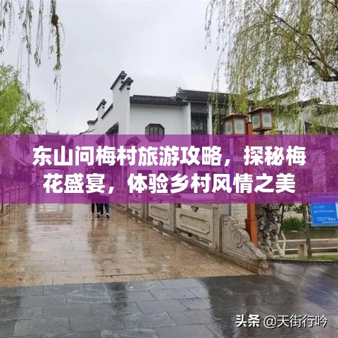 东山问梅村旅游攻略，探秘梅花盛宴，体验乡村风情之美