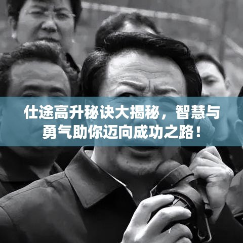 仕途高升秘诀大揭秘，智慧与勇气助你迈向成功之路！