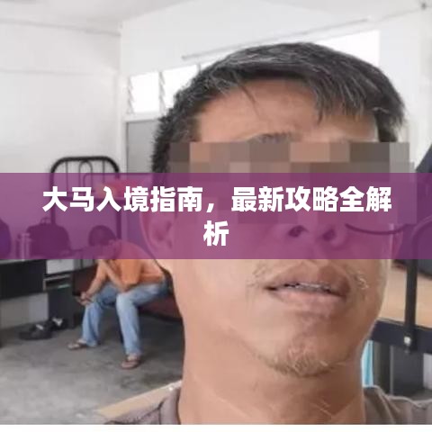 大马入境指南，最新攻略全解析