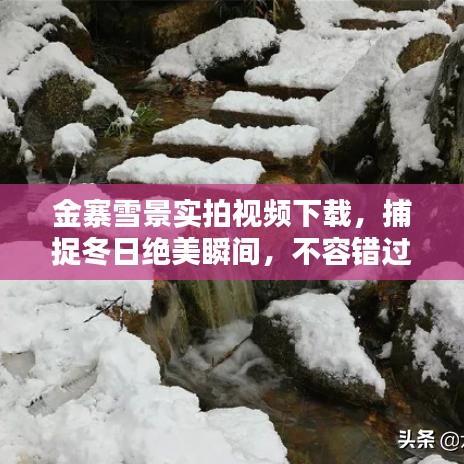 金寨雪景实拍视频下载，捕捉冬日绝美瞬间，不容错过！
