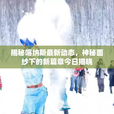 揭秘喀纳斯最新动态，神秘面纱下的新篇章今日揭晓
