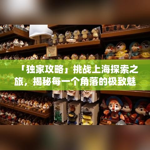 「独家攻略」挑战上海探索之旅，揭秘每一个角落的极致魅力