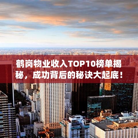 鹤岗物业收入TOP10榜单揭秘，成功背后的秘诀大起底！
