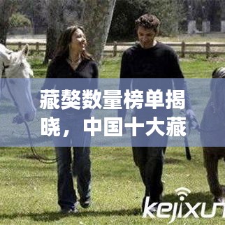 藏獒数量榜单揭晓，中国十大藏獒排名震撼来袭！