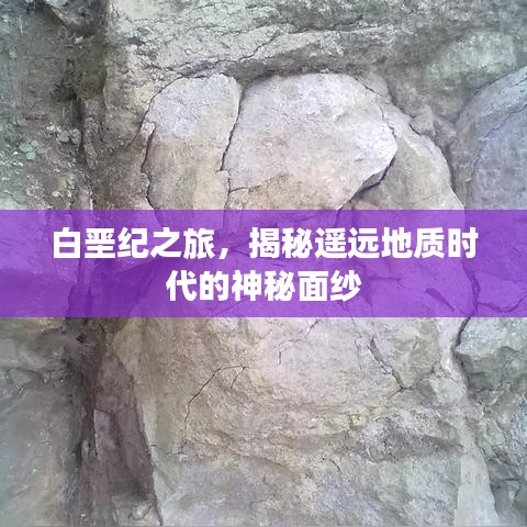 白垩纪之旅，揭秘遥远地质时代的神秘面纱