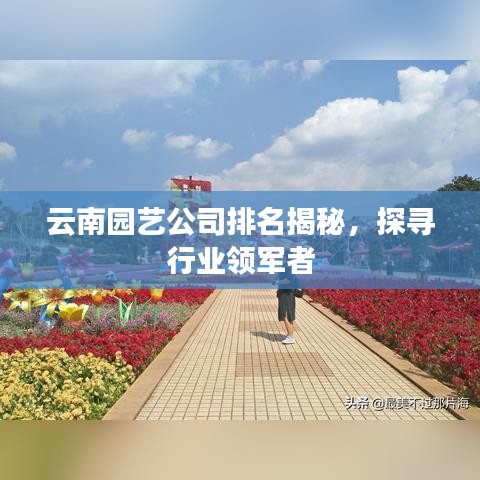 云南园艺公司排名揭秘，探寻行业领军者