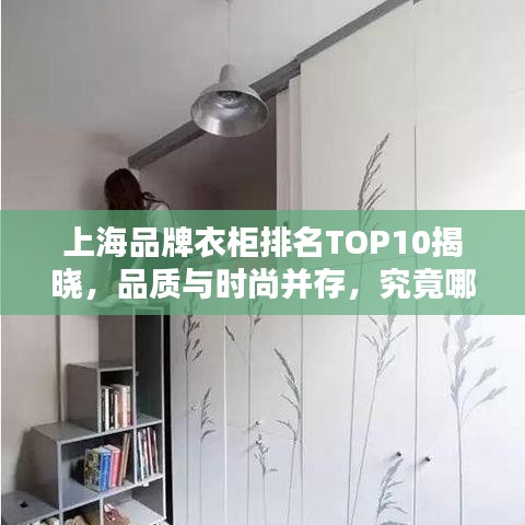 上海品牌衣柜排名TOP10揭晓，品质与时尚并存，究竟哪些品牌上榜？