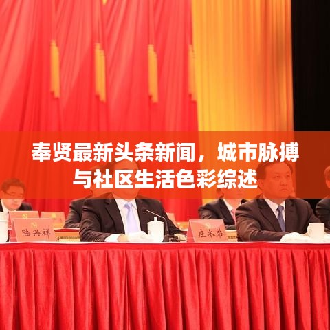 奉贤最新头条新闻，城市脉搏与社区生活色彩综述