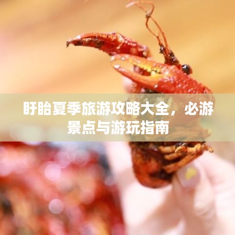 2025年5月 第454页