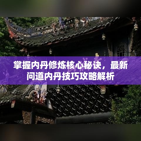 掌握内丹修炼核心秘诀，最新问道内丹技巧攻略解析