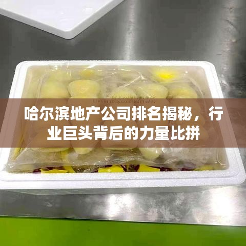 哈尔滨地产公司排名揭秘，行业巨头背后的力量比拼