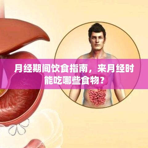 月经期间饮食指南，来月经时能吃哪些食物？