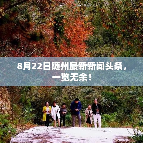 8月22日随州最新新闻头条，一览无余！