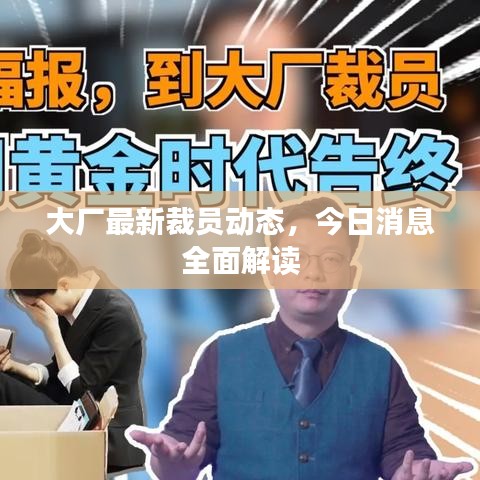 大厂最新裁员动态，今日消息全面解读