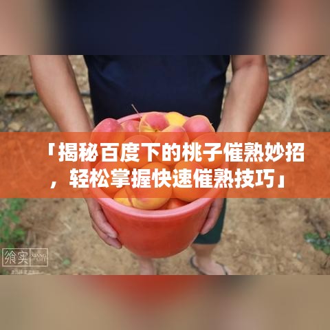 「揭秘百度下的桃子催熟妙招，轻松掌握快速催熟技巧」