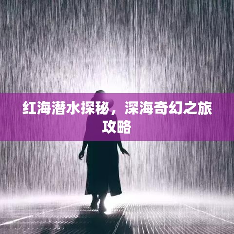 红海潜水探秘，深海奇幻之旅攻略