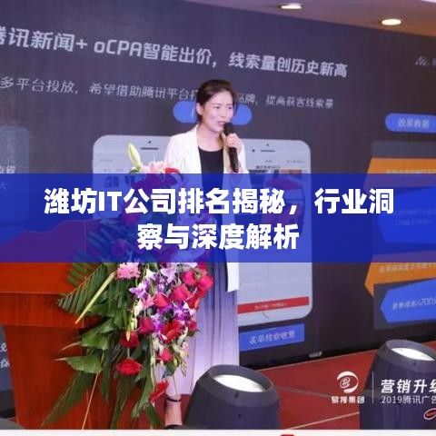 潍坊IT公司排名揭秘，行业洞察与深度解析