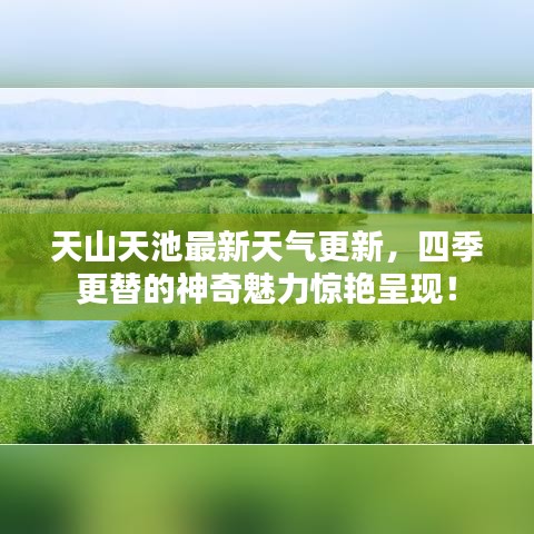 天山天池最新天气更新，四季更替的神奇魅力惊艳呈现！