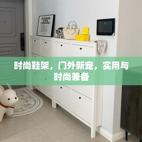 时尚鞋架，门外新宠，实用与时尚兼备
