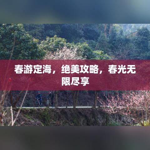 春游定海，绝美攻略，春光无限尽享