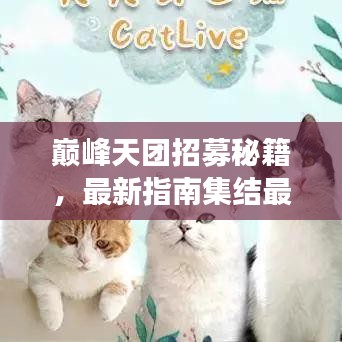 巅峰天团招募秘籍，最新指南集结最强团队！