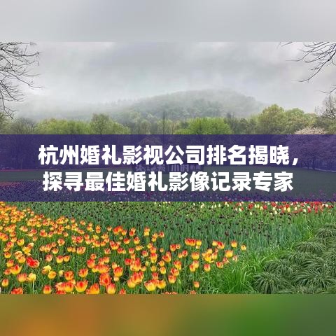 杭州婚礼影视公司排名揭晓，探寻最佳婚礼影像记录专家
