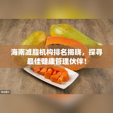 海南减脂机构排名揭晓，探寻最佳健康管理伙伴！