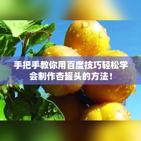 手把手教你用百度技巧轻松学会制作杏罐头的方法！