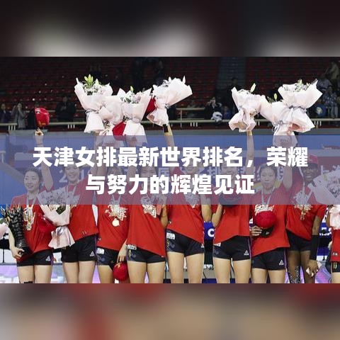 天津女排最新世界排名，荣耀与努力的辉煌见证