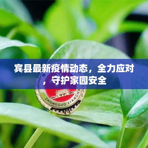 宾县最新疫情动态，全力应对，守护家园安全