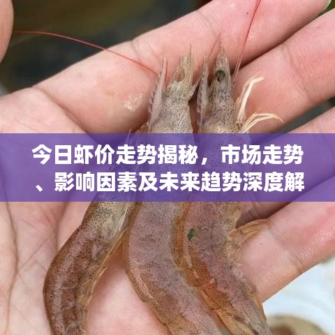 今日虾价走势揭秘，市场走势、影响因素及未来趋势深度解析