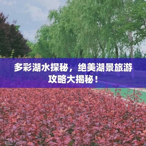 多彩湖水探秘，绝美湖景旅游攻略大揭秘！