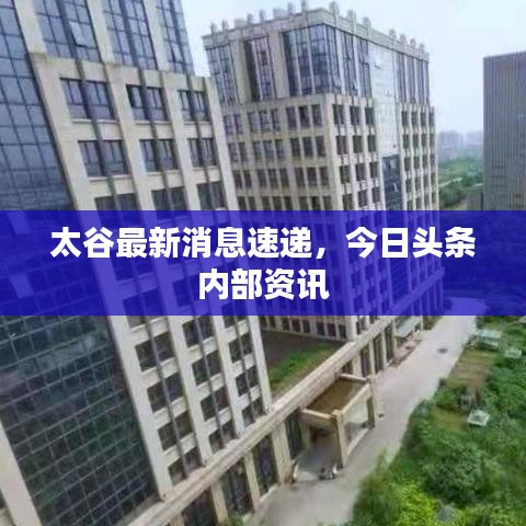 太谷最新消息速递，今日头条内部资讯