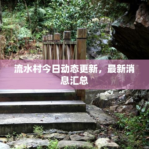 流水村今日动态更新，最新消息汇总