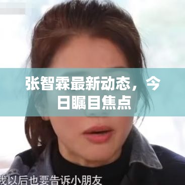 张智霖最新动态，今日瞩目焦点