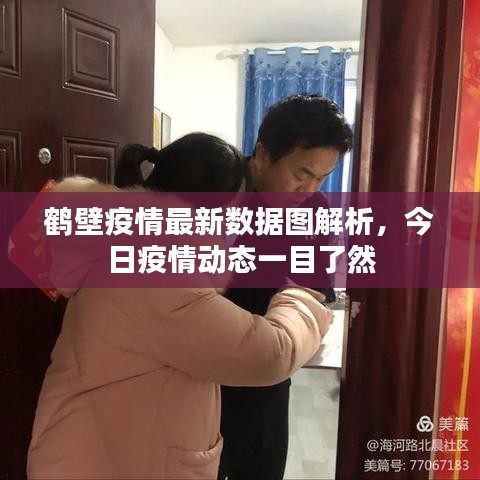 鹤壁疫情最新数据图解析，今日疫情动态一目了然