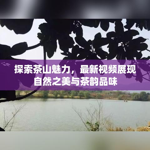 探索茶山魅力，最新视频展现自然之美与茶韵品味