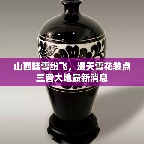 山西降雪纷飞，漫天雪花装点三晋大地最新消息