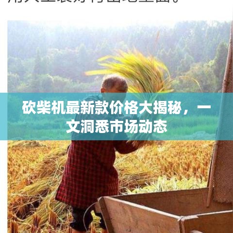 砍柴机最新款价格大揭秘，一文洞悉市场动态