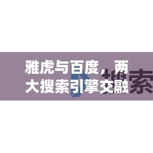 雅虎与百度，两大搜索引擎交融碰撞，揭秘合作背后的故事