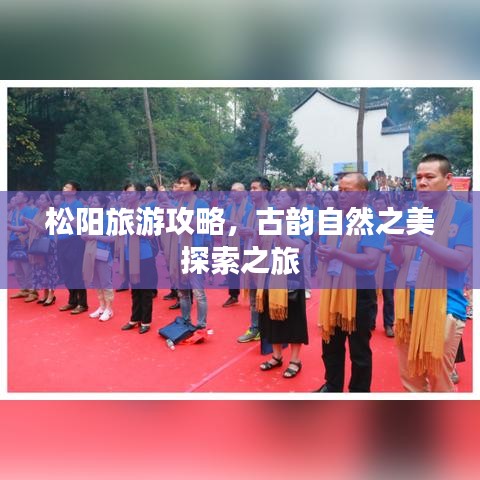 松阳旅游攻略，古韵自然之美探索之旅