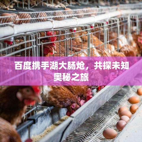 百度携手湖大肠炝，共探未知奥秘之旅